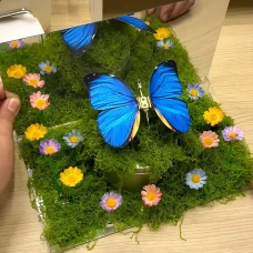 DIY Butterfly Night Light Kit | Enchanted Forest Handmade Material Pack