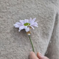 Wearable Mini Bouquet Brooch